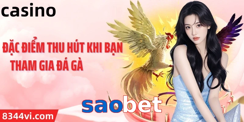 saobet